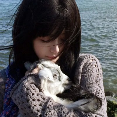 海外精选